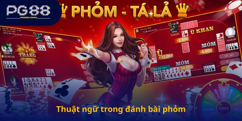 Thuật ngữ trong đánh bài phỏm