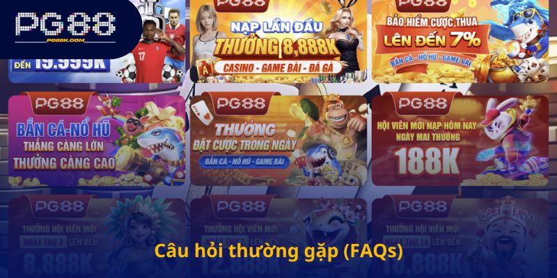 Câu hỏi thường gặp (FAQs)